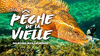 La pêche de la vieille depuis le bord aux leurres souples screenshot 1