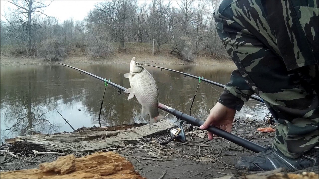 Когда можно рыбачить весной на удочку