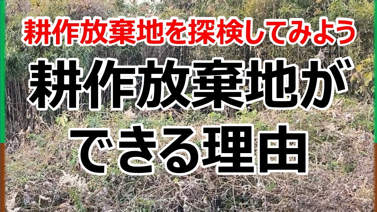江戸〜明治⁉️古い農機具　千歯こき　古民家カフェ等に⭕️⭕️　ジャンクガーデン YouTube