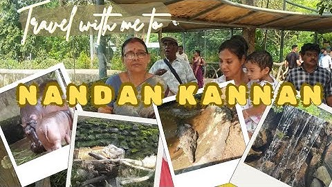 Vlog 29 | Nandankanan zoological park | 3rd biggest zoo of India | Bhubaneswar, odisha
