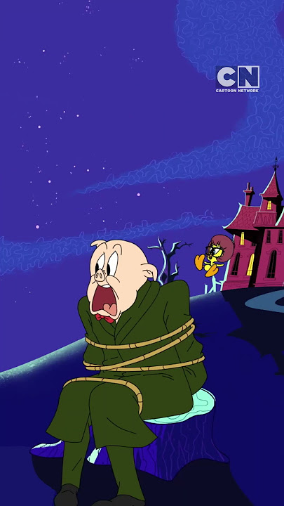 Scooby Doo | Looney Tunes ACME Fools | Cartoon Network Asia