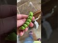Top Satisfying Images | @CARTOONINFINITES
