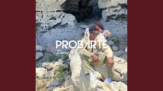 Probarte (feat. El Baby R)