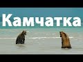 Abenteuer-Reise durch Kamtschatka: Aktive Vulkane und Bären im Fernen Osten Russlands