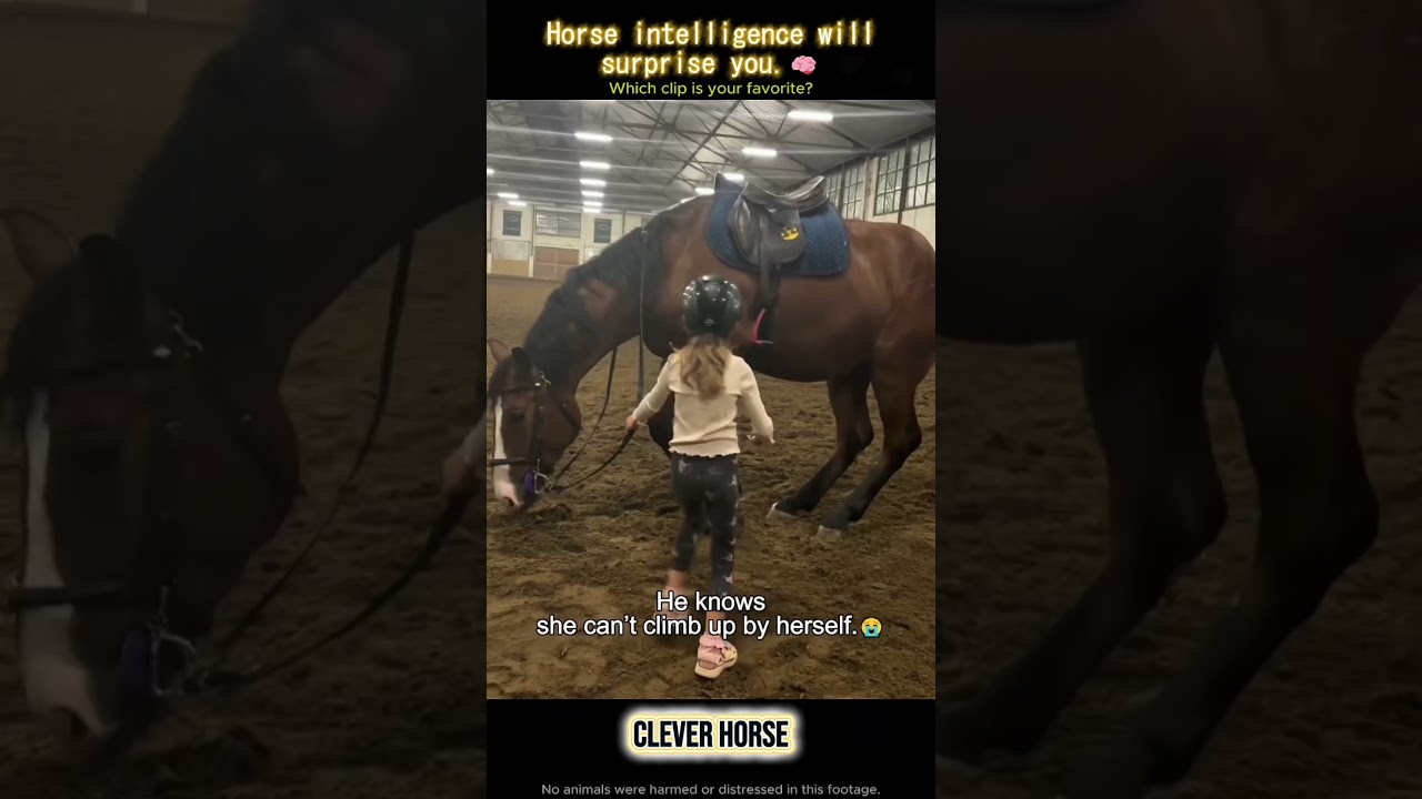 POV: When the horse out‑thinks you ✨#funny#horse