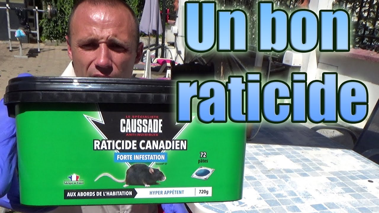 Un bon raticide pour les rats noirs & souris, pâte efficace lieu sec, humide, intérieur, extérieur