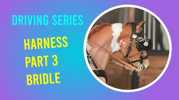 Make a Model Horse Harness - Part 3 - The Bridle - Quick on/off option