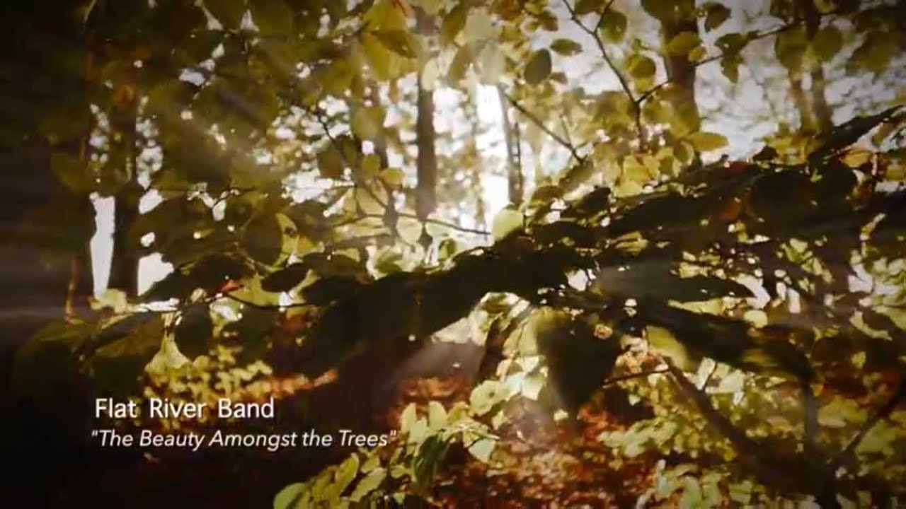 The Beauty Amongst the Trees / Lyric Video - Flat River Band