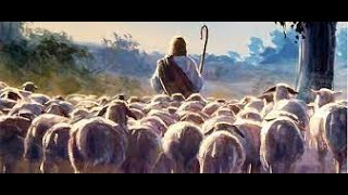 4th Sunday of Easter, Year A: Gospel: Catholic Bible Study