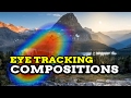 Using Eye Tracking Software on Photographers&#39; Compositions