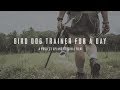 A Deutsch Kurzhaar Story - Bird Dog Trainer for a Day - Project Upland A Deutsch Kurzhaar Story - Bird Dog Trainer for a Day - Project Upland