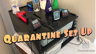 Our Ball Python Quarantine Set Up! Wealth