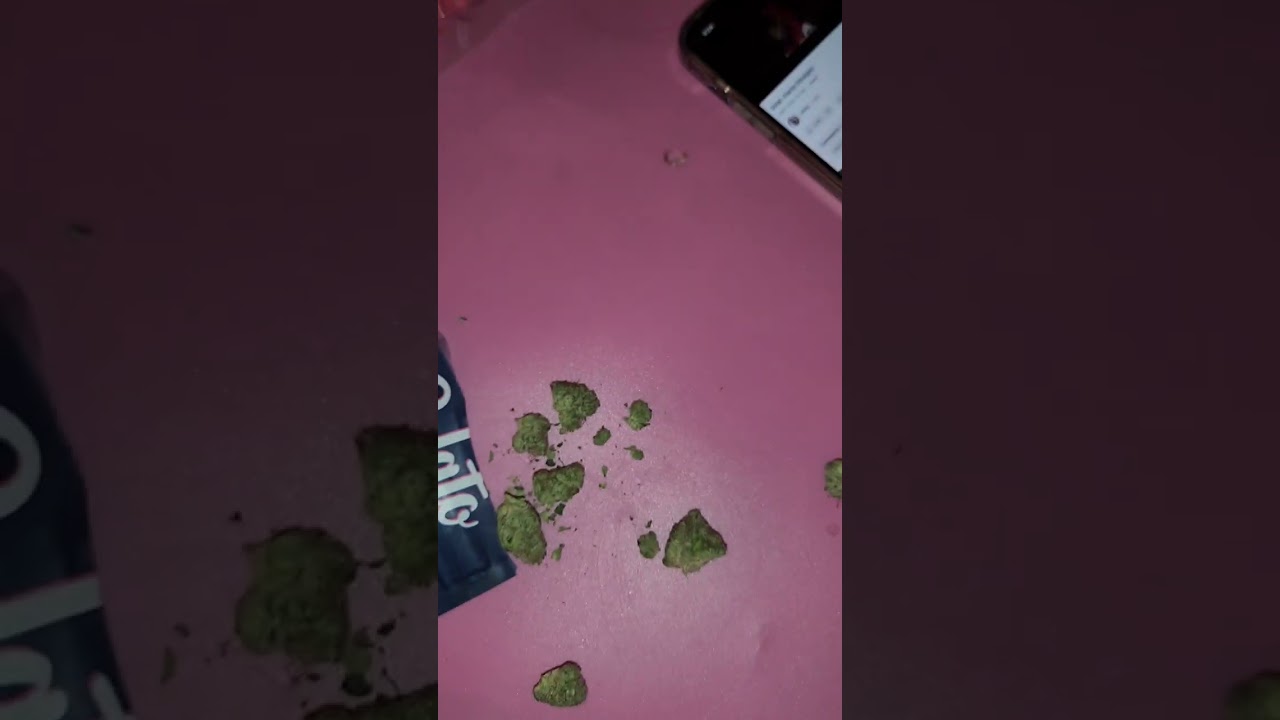 Visual Strain Review: Blackberry Diesel by Gelato 🔥🔥🔥🔥