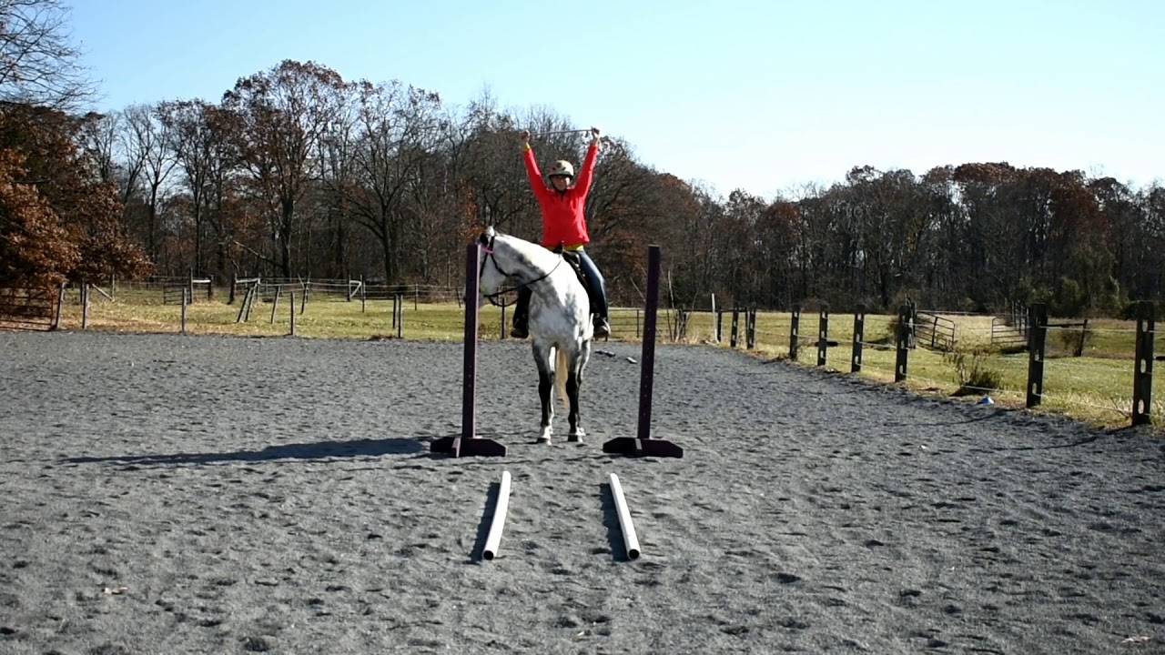 Tara Jones-- Riding Straight Lines-- Training Exercise