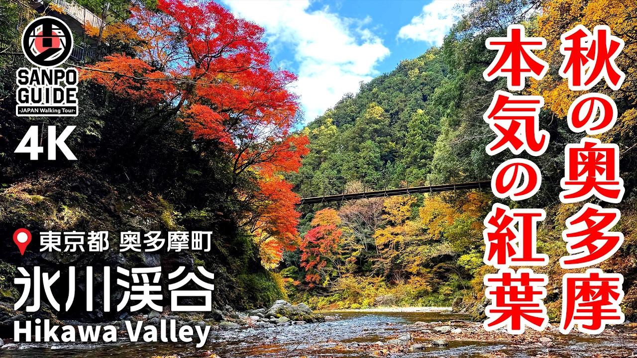 【氷川渓谷】 奥多摩の自然と紅葉を満喫！ 4K｜東京散歩