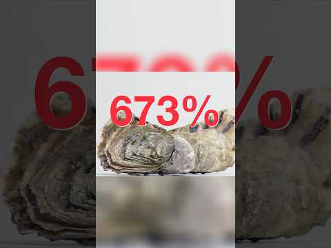 Why Oysters Might