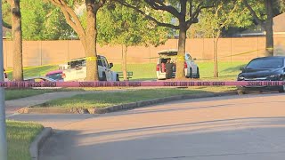 Missing 8-year-old boy found in lake by Texas EquuSearch, Fort Bend County Sheriff's Office says