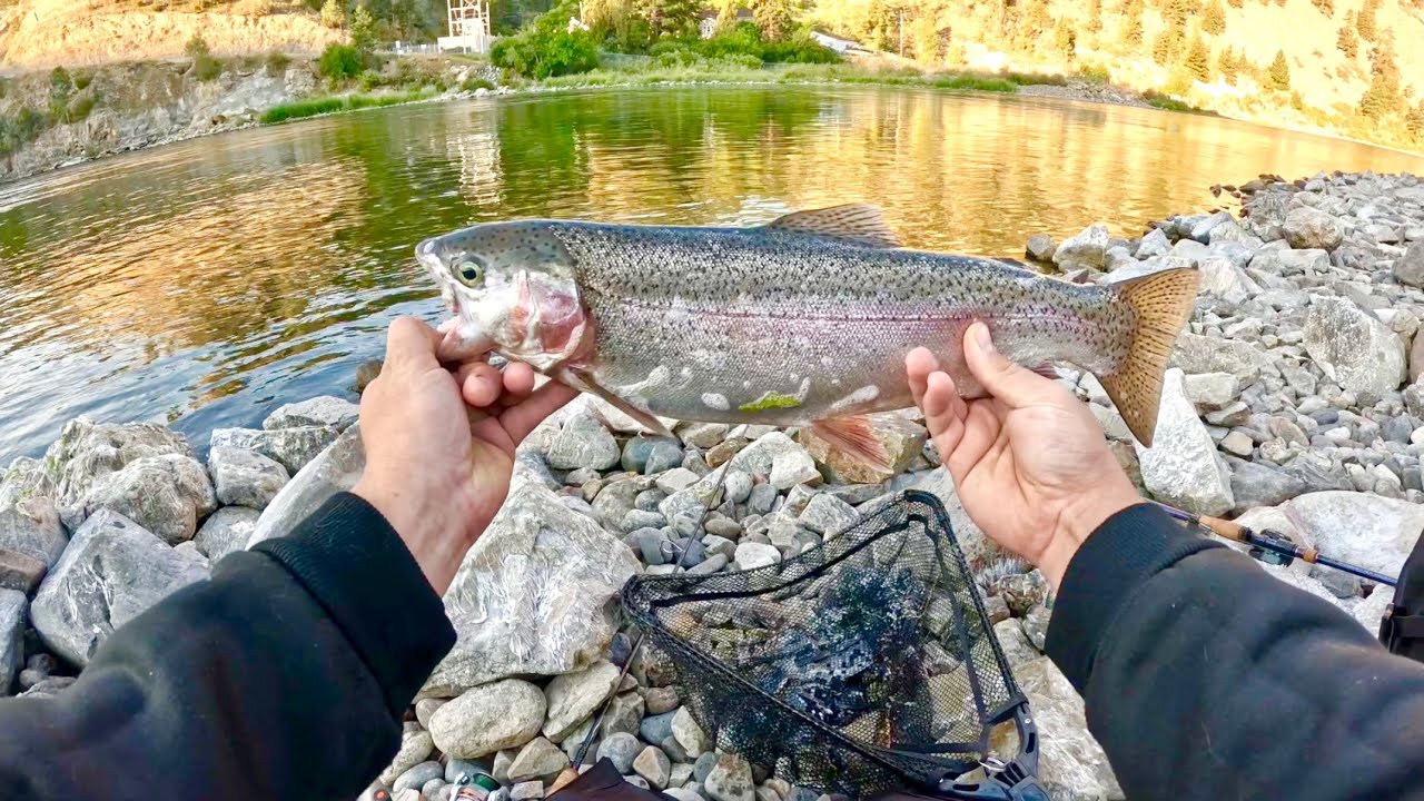 FISHING RAGING WATERS FOR RAINBOW TROUT| TROUT CATCH AND COOK 