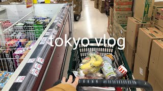 tokyo (cheap) supermarket shopping | singaporean living in japan tokyo vlog