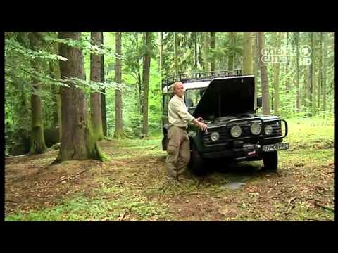 felix und die wilden tiere felix und die wilden tiere