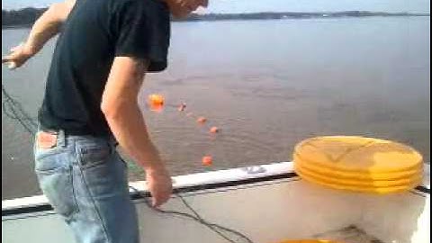 How to set a gill net - OS Nets