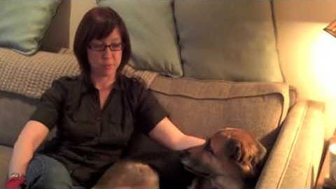 The Nerdabout vlog - Heavy Metal Nerd