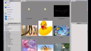 Photoshop Tutorial: How to use Workspaces, Panels and Adobe Bridge in Photoshop CS5