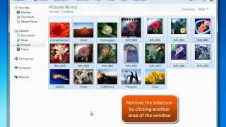 Celebrity Selecting Multiple Files in Windows Explorer for Windows 7 Wealth