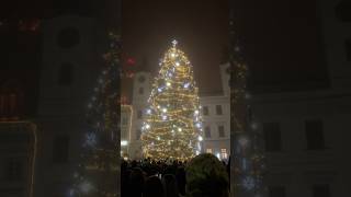 Rozsvěcení vánočního stromu v Hradci Králové 🎄
