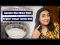 Home Made Japanese Rice Water Mask For Brighter Younger Looking Skin l Organic Face Mask