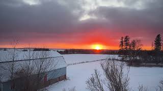 Snow-Covered Backyard with Sunset over Federal Bridge