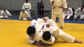 2015 World Kata Clinic Katame