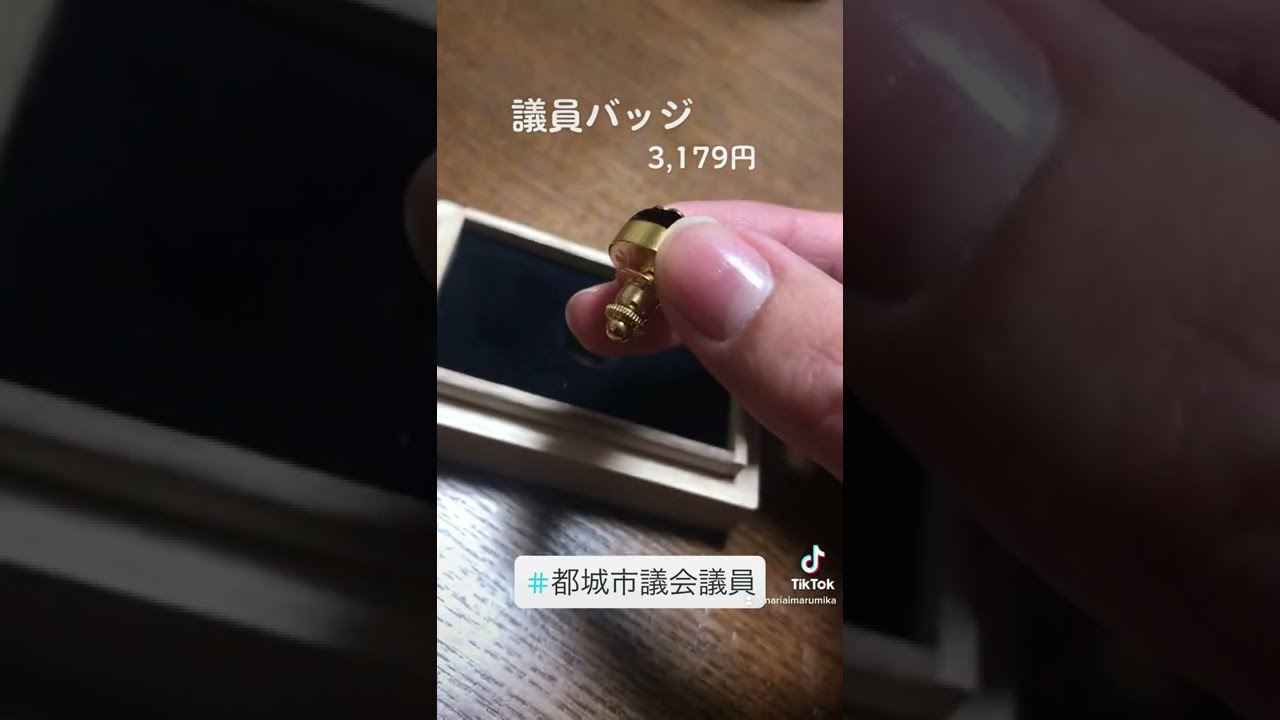 長崎県議会議員バッジ14金♪ 県議に7万円の金バッジ貸与→返還された一部は4千円弱のレプリカ