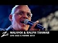 Malavoi  ralph thamar  exil apartheid  live