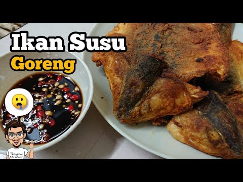 Video: Pai Ikan Susu Masam