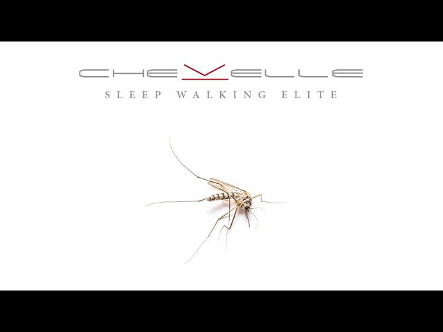 Chevelle  -  Sleep walking elite