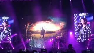 就算世界无童话(live)-卫兰