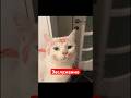 Заслуженно