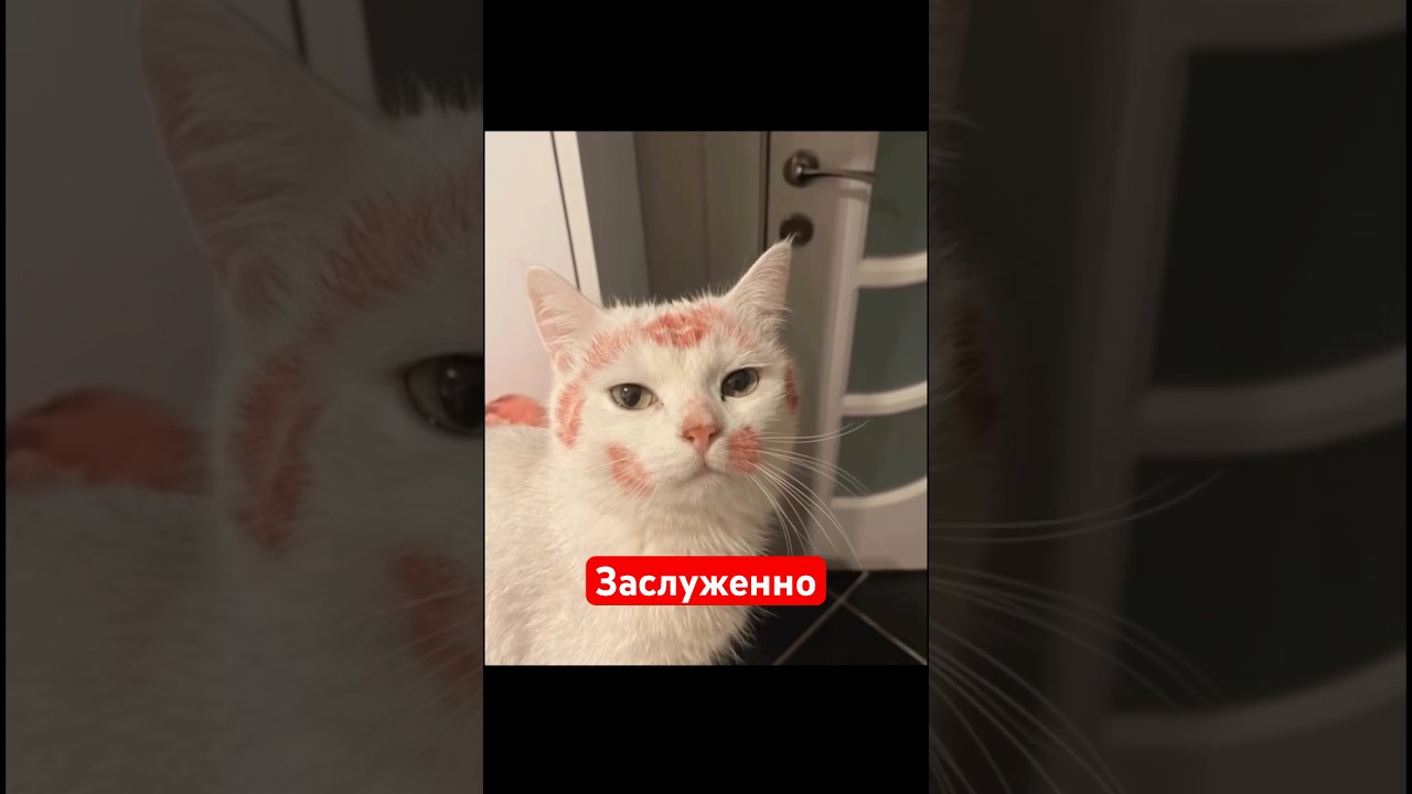 Заслуженно