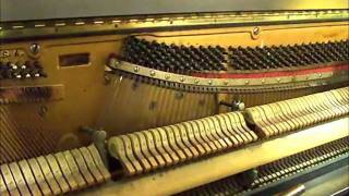 How to tune your own piano