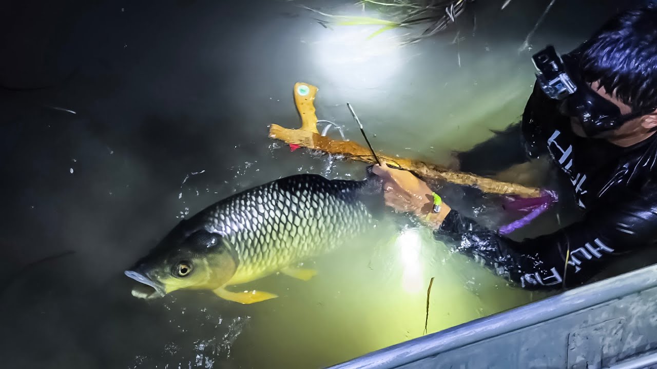 Pescando Con Arpón En Un Rio Muy Pequeño, Con PECES MUY GRANDES