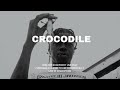 Free dancehall riddim instrumental 2024  crocodile