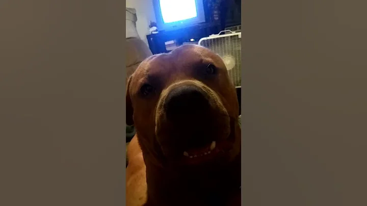 Jake the new singer in town 2