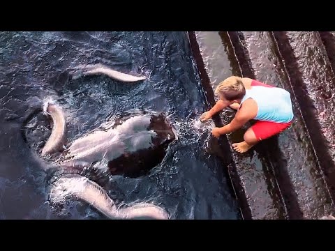 Wideo: Obcy Ośmiornice Toczyli Japończyków Na Latającym Spodku - Alternatywny Widok