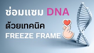 🧬วิธีซ่อมแซม DNA ด้วยความรักและเทคนิค FREEZE FRAME
