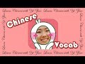 Learn chinese with yi zhao beginner mandarin chinese vocabulary in 3 hours based on hsk1  hsk2