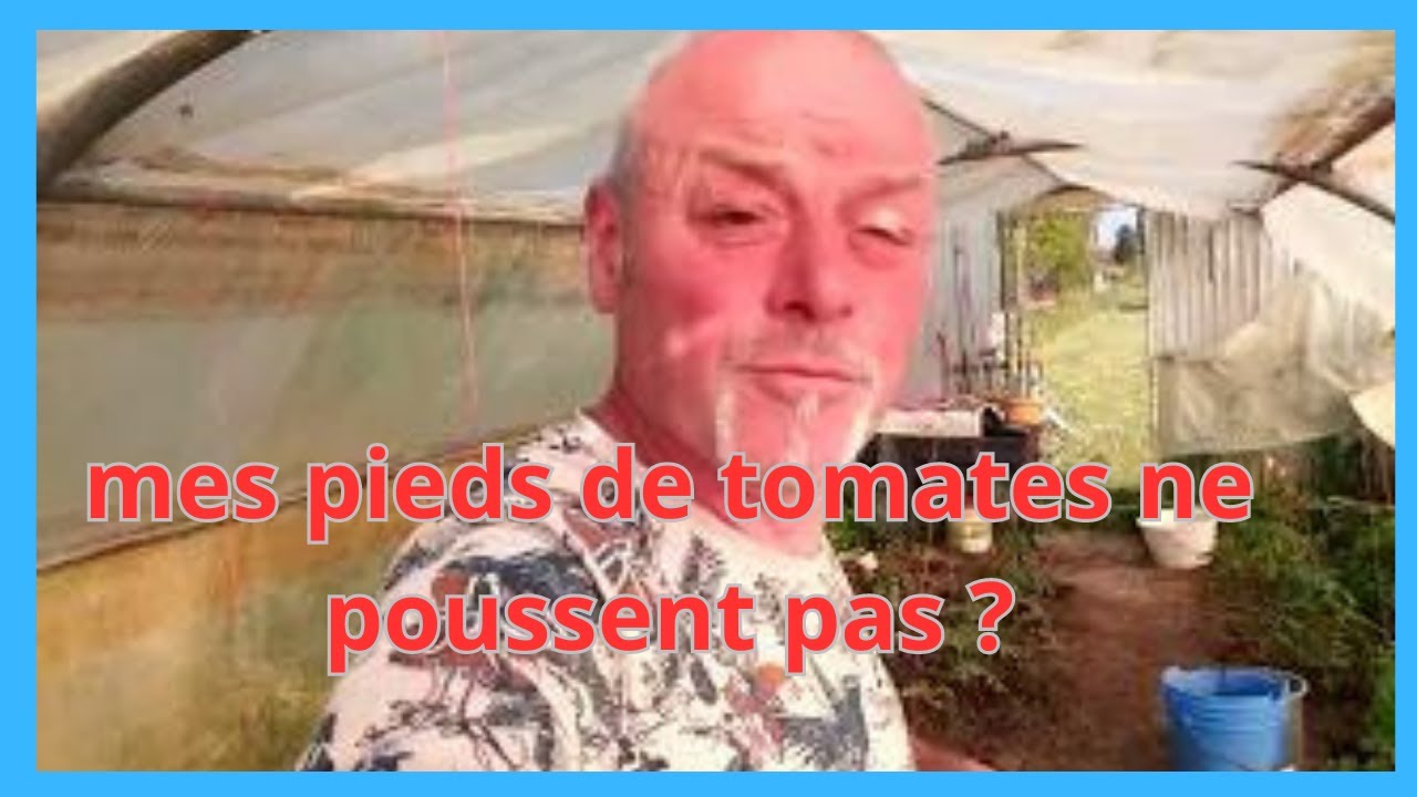 19 mai au jardin MES PIEDS DE TOMATES NE POUSSENT PAS ? YouTube — free download