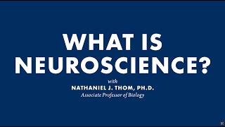 Wheaton College: Neuroscience
