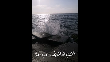 تلاوة رائعة بصوت الشيخ ماهر المعيقلي