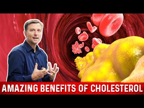 The Amazing Benefits of Cholesterol - MUST WATCH